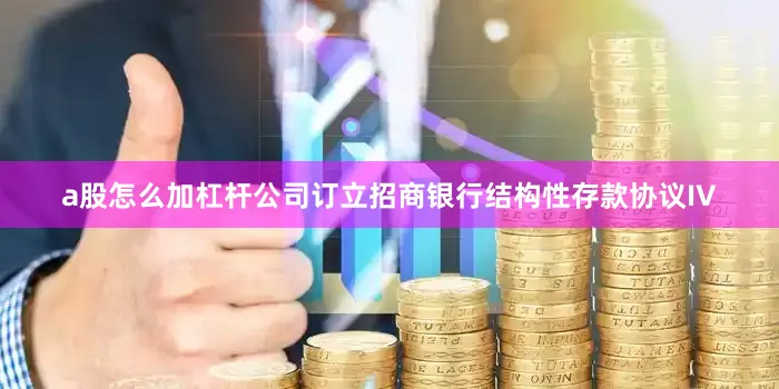 a股怎么加杠杆公司订立招商银行结构性存款协议IV