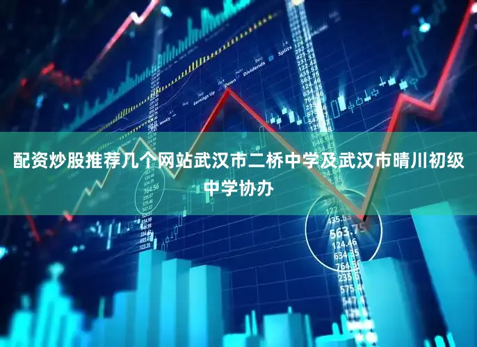 配资炒股推荐几个网站武汉市二桥中学及武汉市晴川初级中学协办